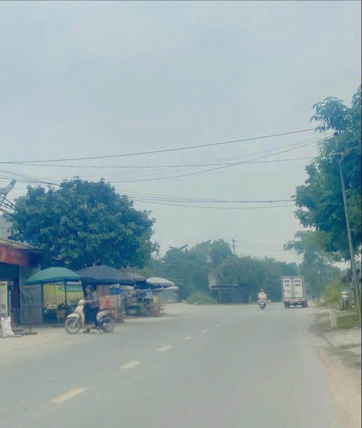 Đất Tử Du Lập Thạch 110m² giá 2 tỷ - Mặt tiền đẹp, kinh doanh tốt!