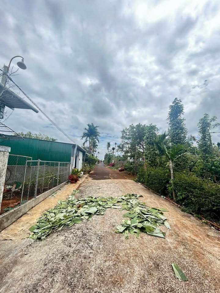 Đất thổ cư đường 18a1 P.Tân An 216m² giá 1.59 tỷ - Khu dân cư đông đúc!