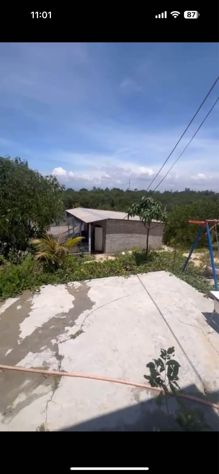 Đất Farm Quảng Công, Quảng Điền 18.000m² giá 1.8 tỷ - Sẵn sàng đầu tư ngay!