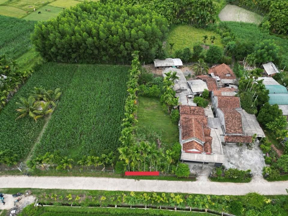 Đất Tịnh Bắc 275m² giá thỏa thuận - Hướng Tây Bắc, Đường xe tải thông!