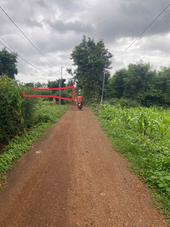 Đất thổ cư xã Cuôr Đăng 250m² giá 600 triệu - Cơ hội đầu tư tuyệt vời!