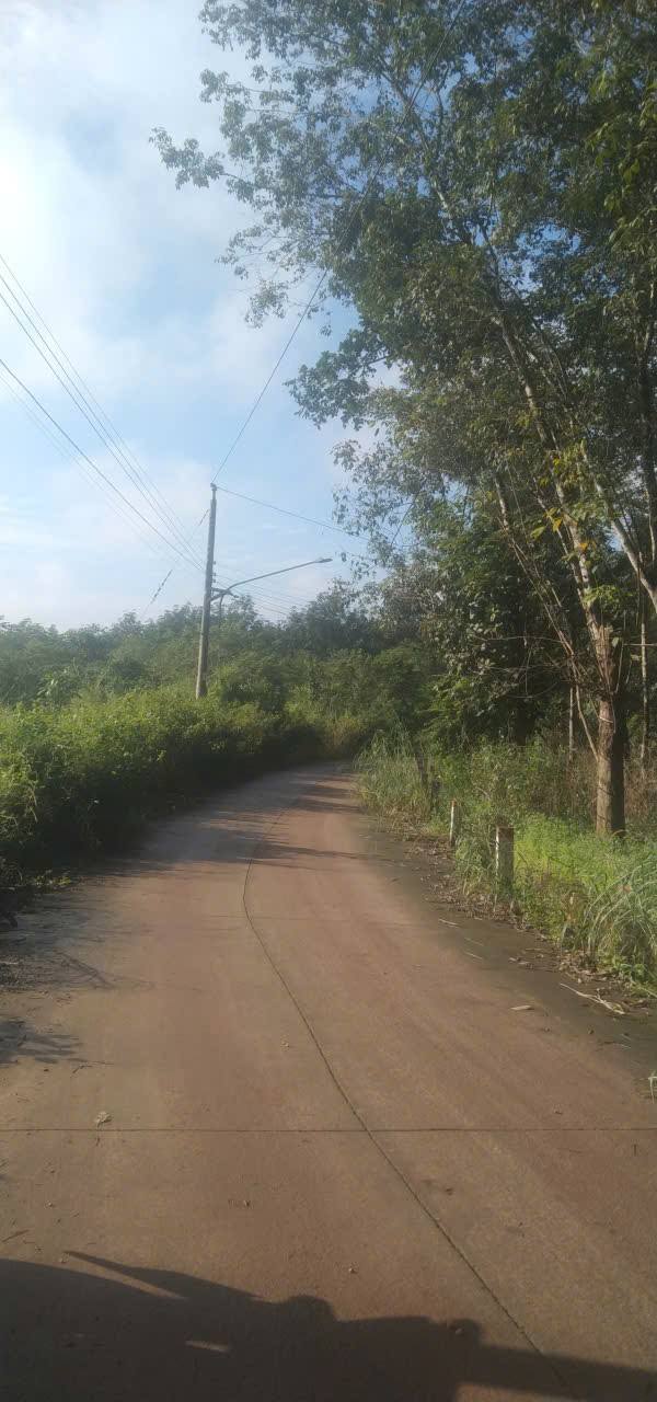 Đất nền Phước Hoà 9.700m² giá 11 tỷ - Cơ hội đầu tư hiếm có!