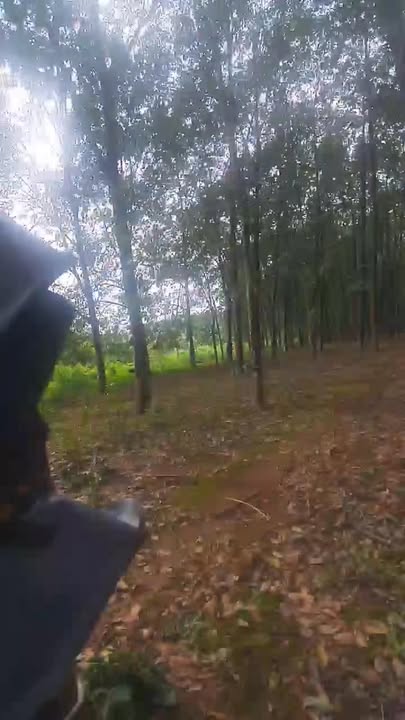 Đất trống 1.4ha tại Ia Krai, Gia Lai - Cơ hội đầu tư tuyệt vời!