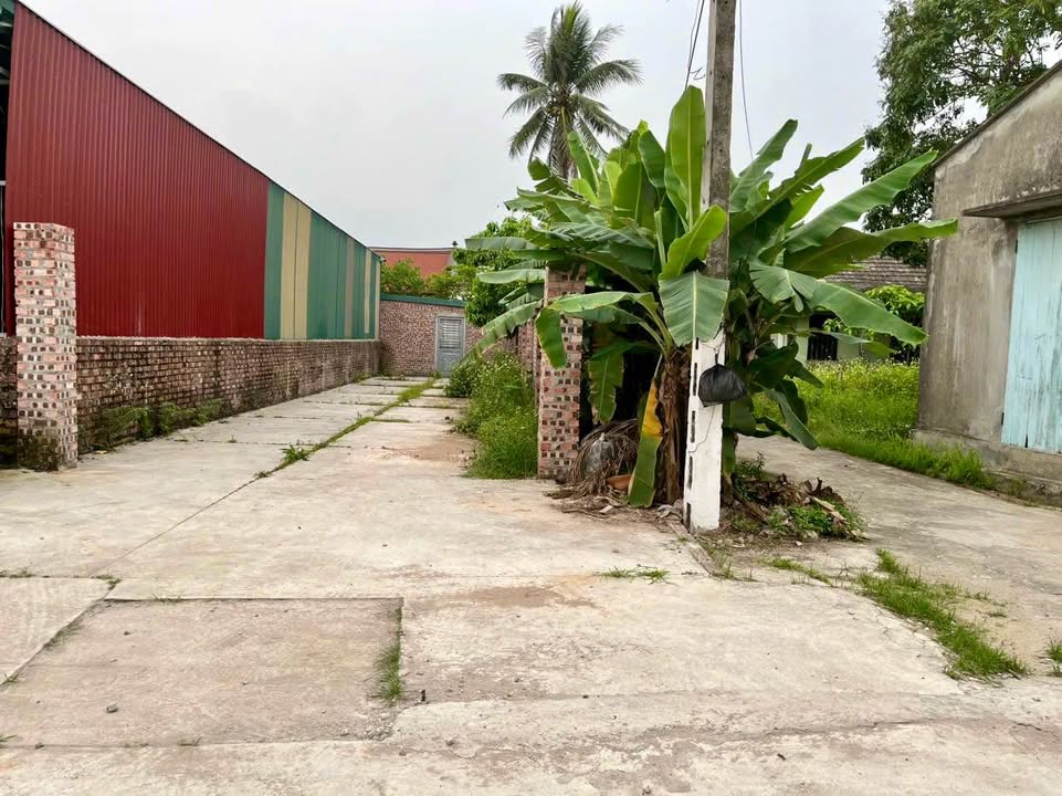 Đất nền góc Thanh Xá Thanh Hà 100m² giá 1.9 tỷ - Đường rộng ô tô đỗ cửa!