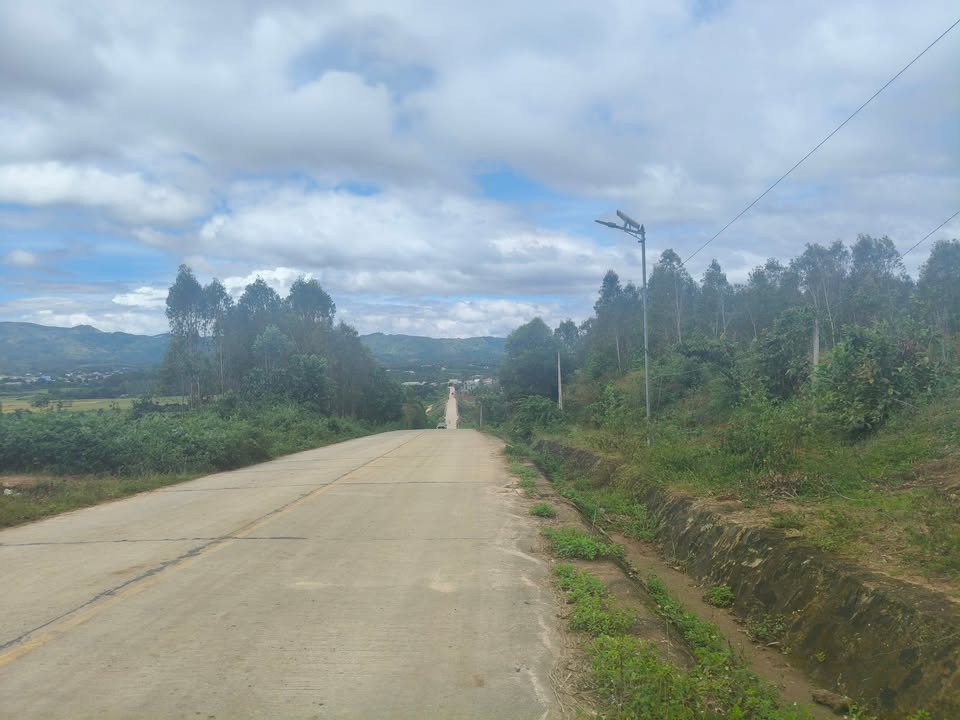 Farm 4.3ha tại xã Ayun, giá chỉ 5.59 tỷ - Tiềm năng đầu tư lớn!