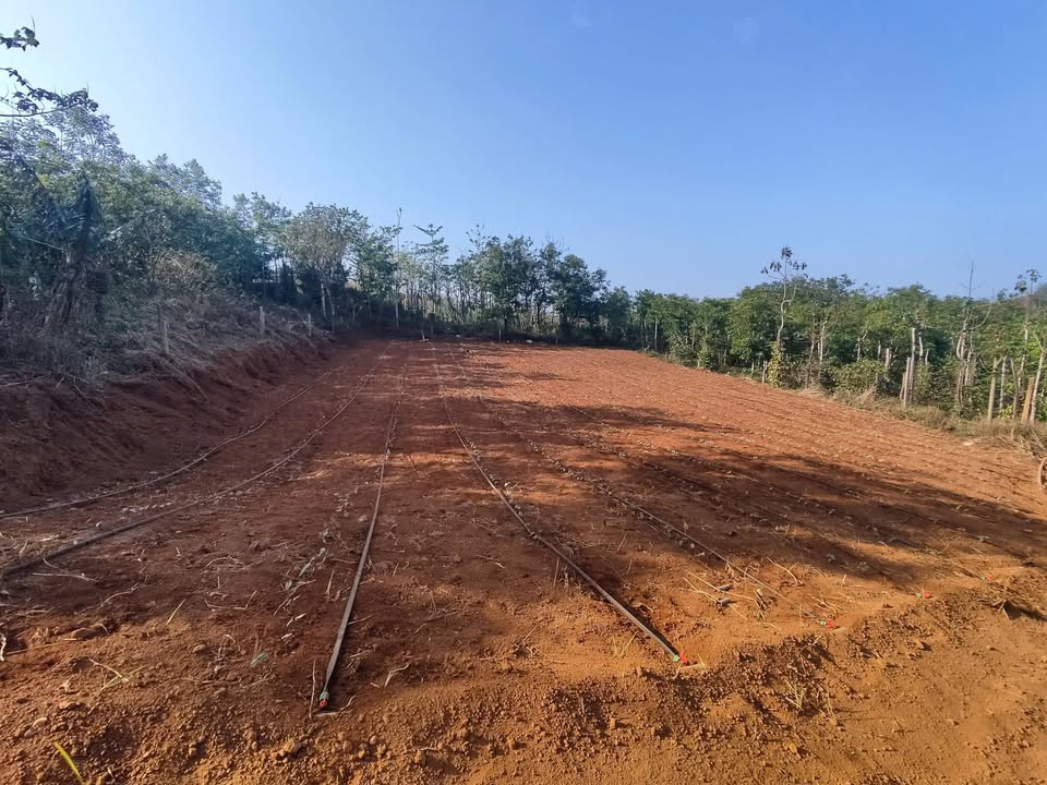 Đất thổ cư thôn 6 Đức An 7.52m ngang chỉ 950 triệu - Đầu tư sinh lời ngay!