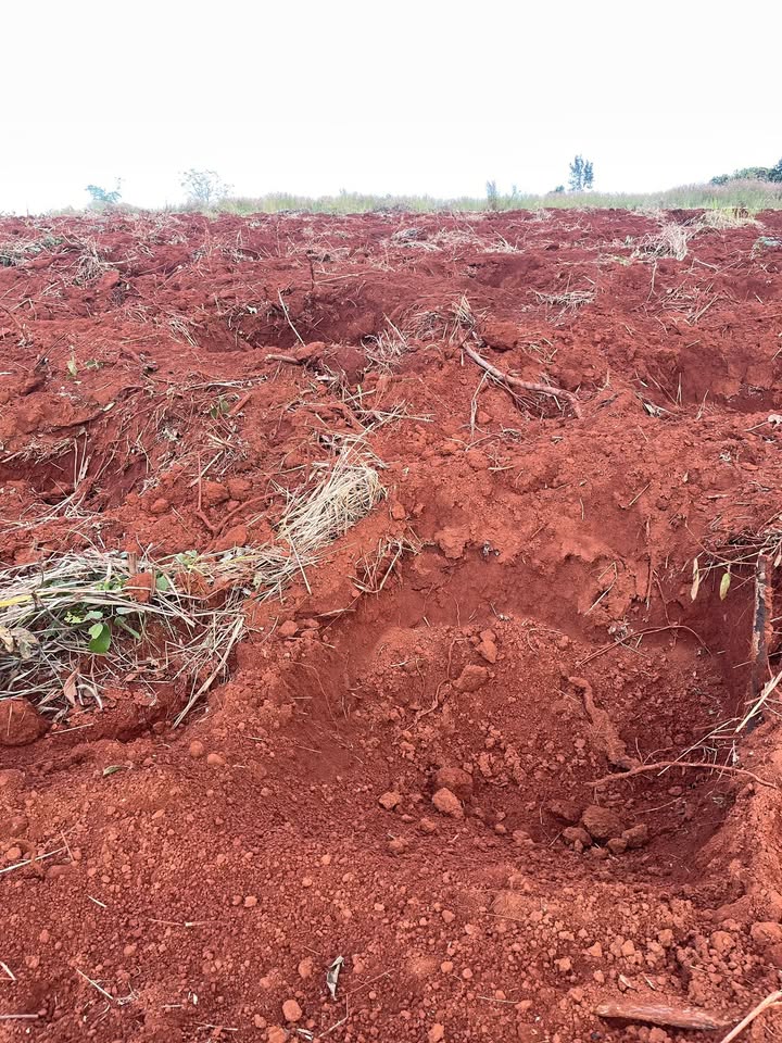 Đất nền Ia Pia Chư Prông 1,9ha - Giá chỉ 1,14 tỷ - Sổ đỏ chính chủ