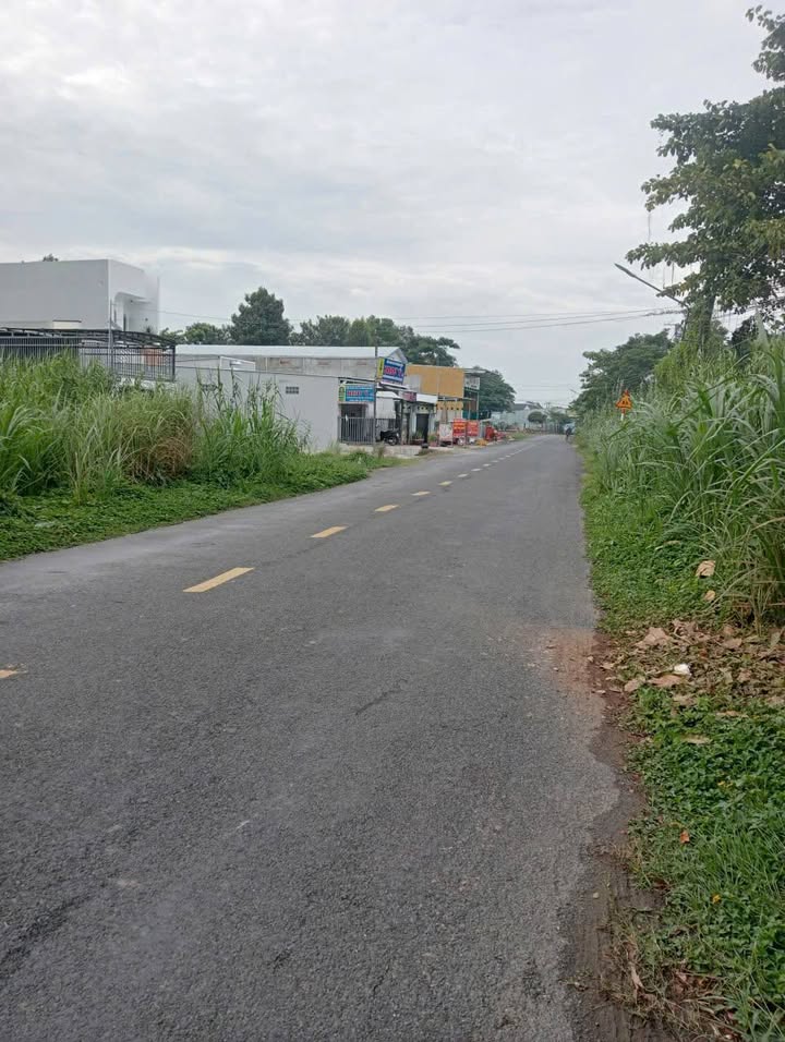 Đất nền đường Bình Trị, Mỹ Ngãi, 250m² giá 1.1 tỷ - Sổ đỏ chính chủ!