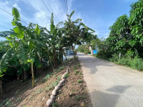 Đất nền thổ cư Kiến Thành, Chợ Mới, An Giang 180m² chỉ 700 triệu - Sổ hồng chính chủ!