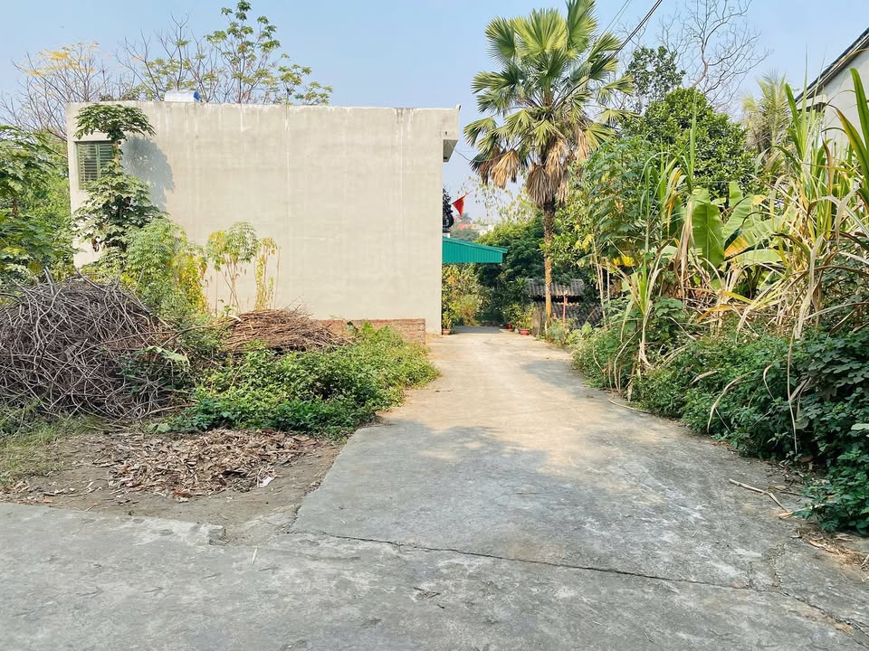 Đất thổ cư Vân Cơ, Việt Trì 76m² giá 1.85 tỷ - Đầu tư sinh lời hấp dẫn!