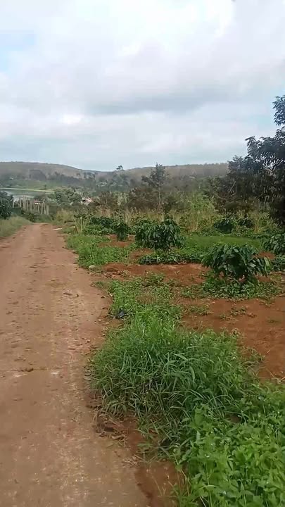 Đất nền Ea Bar, Buôn Đôn 6100m² giá 850 triệu - Đầu tư sinh lời ngay!