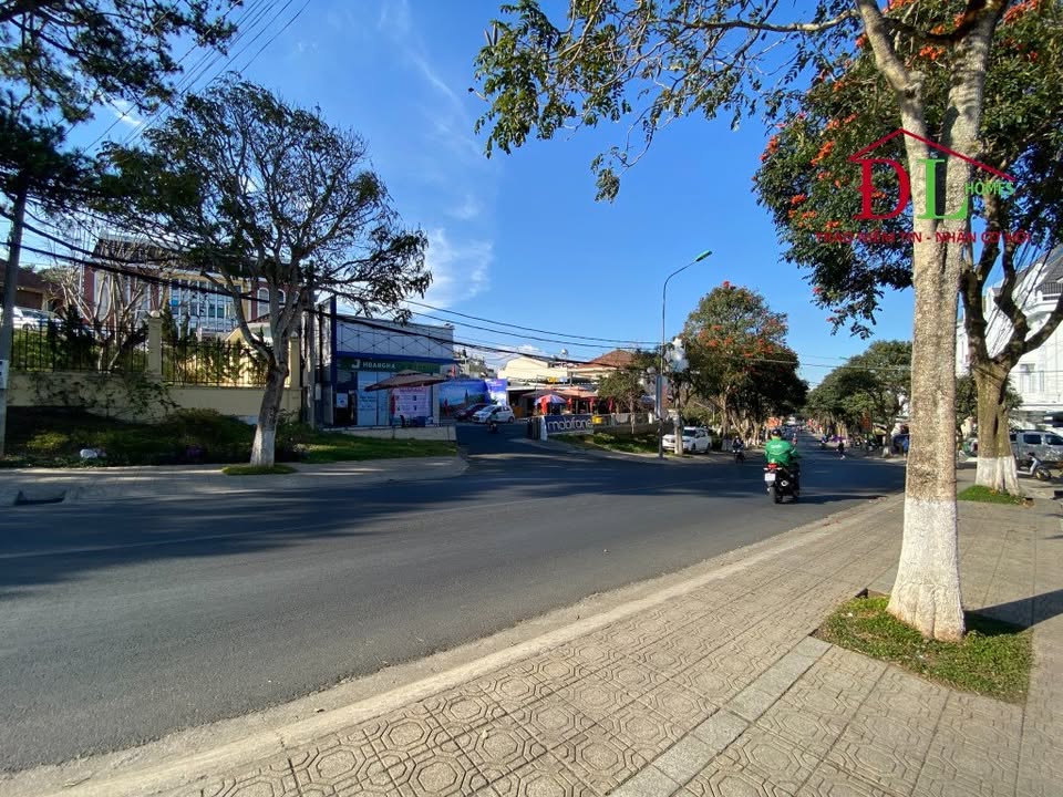 Đất mặt tiền Lê Hồng Phong Đà Lạt 440m² giá 48 tỷ - Cơ hội đầu tư hiếm có!