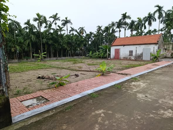 Đất nền Giao Bình Giao Thủy 300m² mặt tiền 17m - Tiềm năng đầu tư lớn!