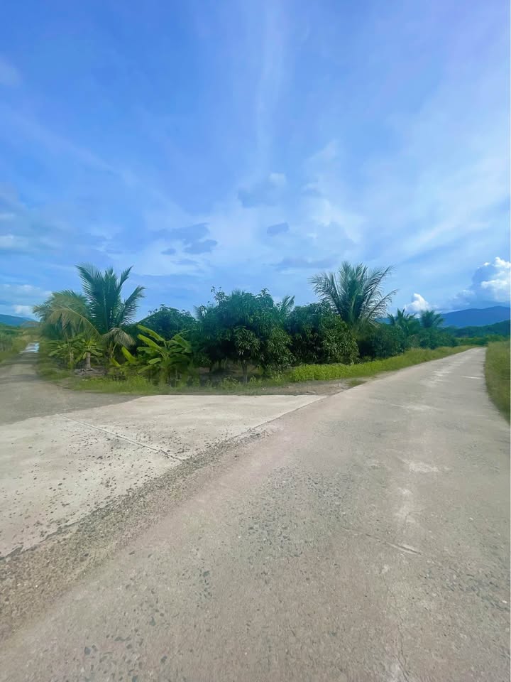 Đất vườn 9435m² tại Diên Lâm, Diên Khánh - Giá chỉ 2 tỷ, cơ hội đầu tư tuyệt vời!