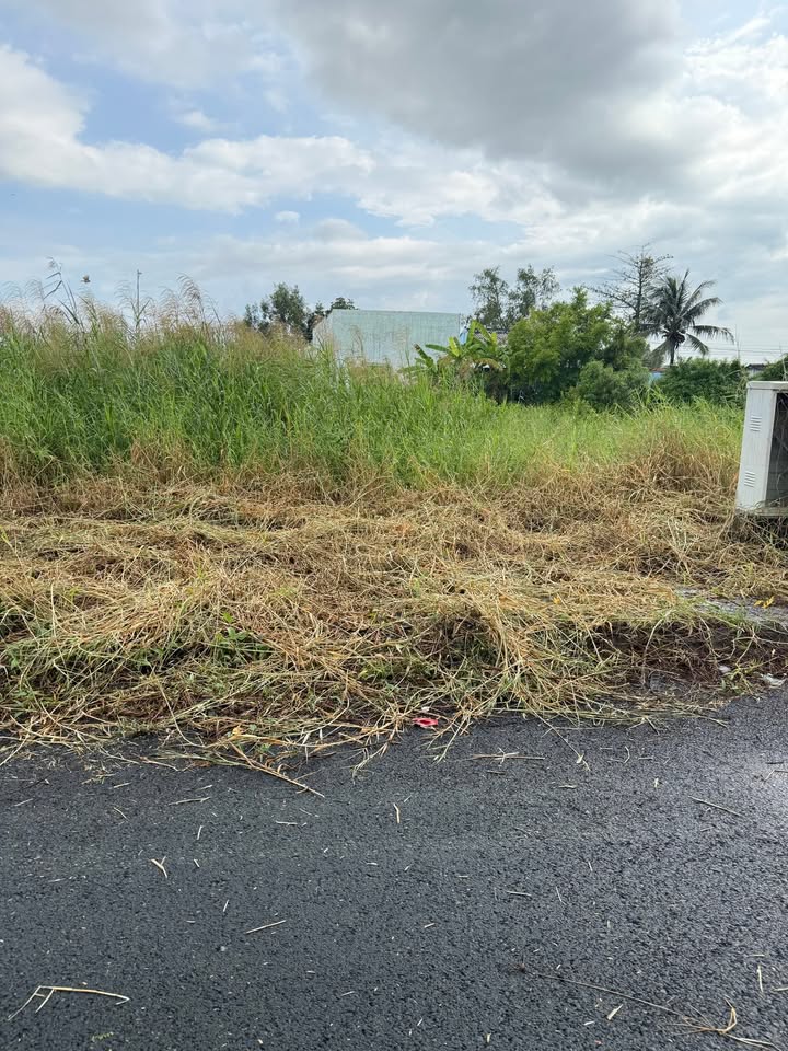 Đất nền mặt tiền QL1A, trung tâm TT Hòa Bình, Bạc Liêu - Sổ hồng chính chủ, xây dựng tự do!