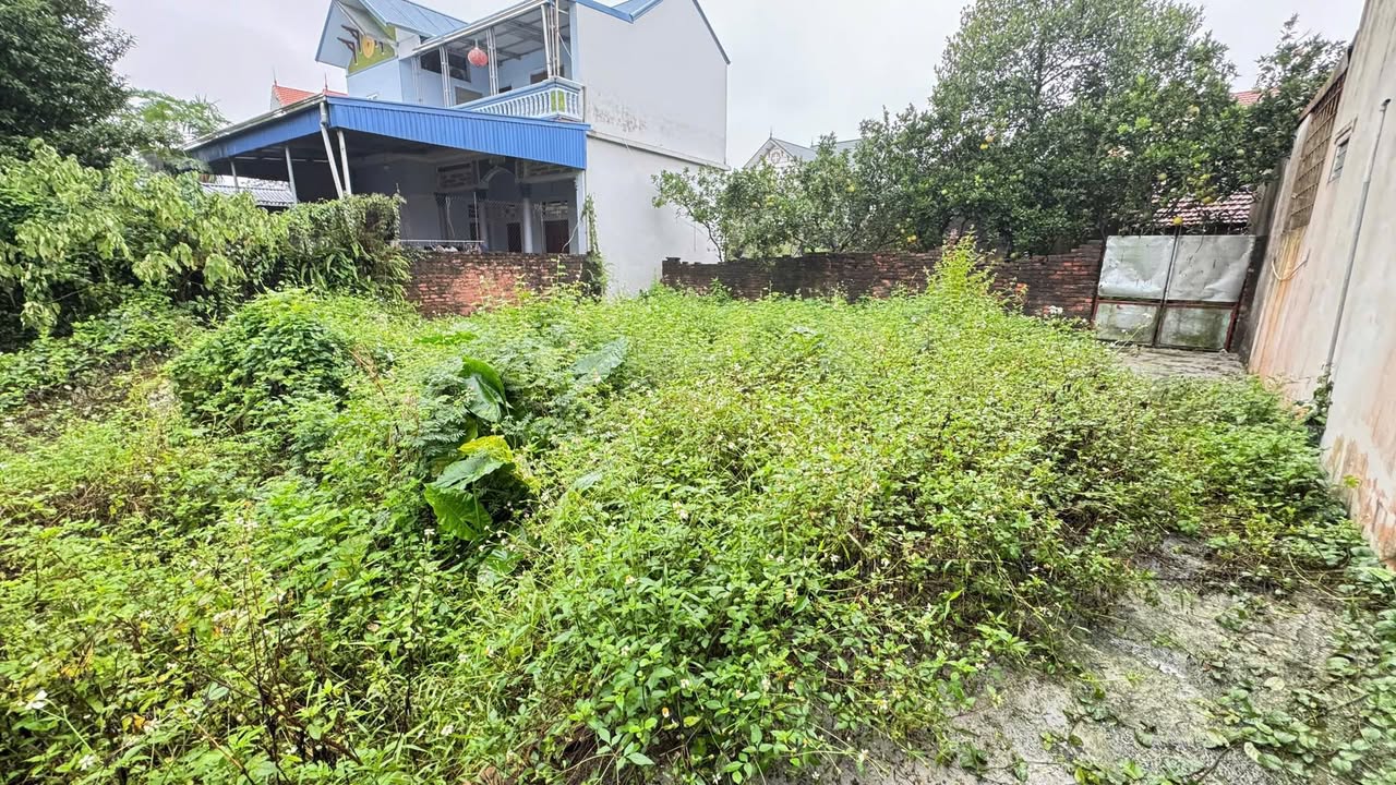 Đất nền thôn Cao Mật Hạ, Thanh Oai 53,7m² giá 5xx triệu - Đầu tư sinh lời ngay!