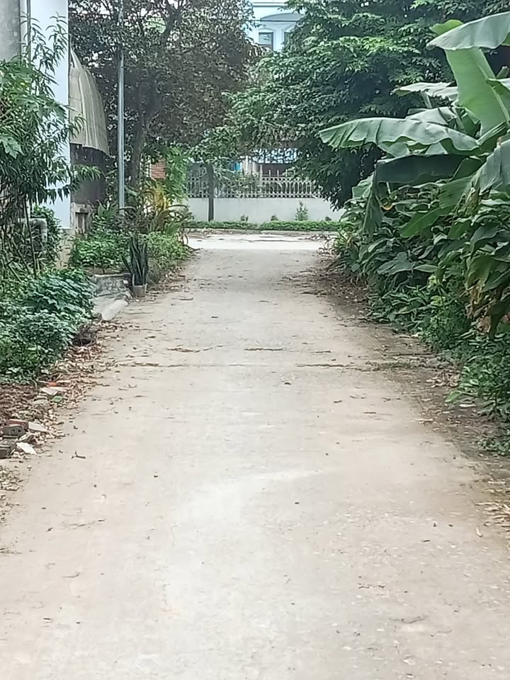 Đất nền Vân Sơn, Lập Thạch, Vĩnh Phúc 100m² giá 1 tỷ - Đường lớn ô tô đỗ cửa!