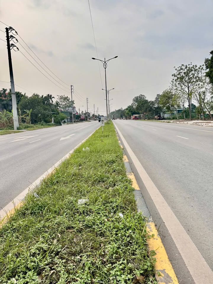 Đất nền TDP My Kỳ, Bình Xuyên 80m² giá 4.5 tỷ - Cơ hội đầu tư hấp dẫn!