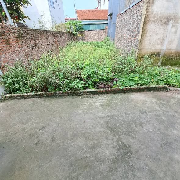 Đất nền Kim Sơn, xã Thuận An 79m² giá 3 tỷ - Sổ đỏ chính chủ, ô tô đỗ gần!