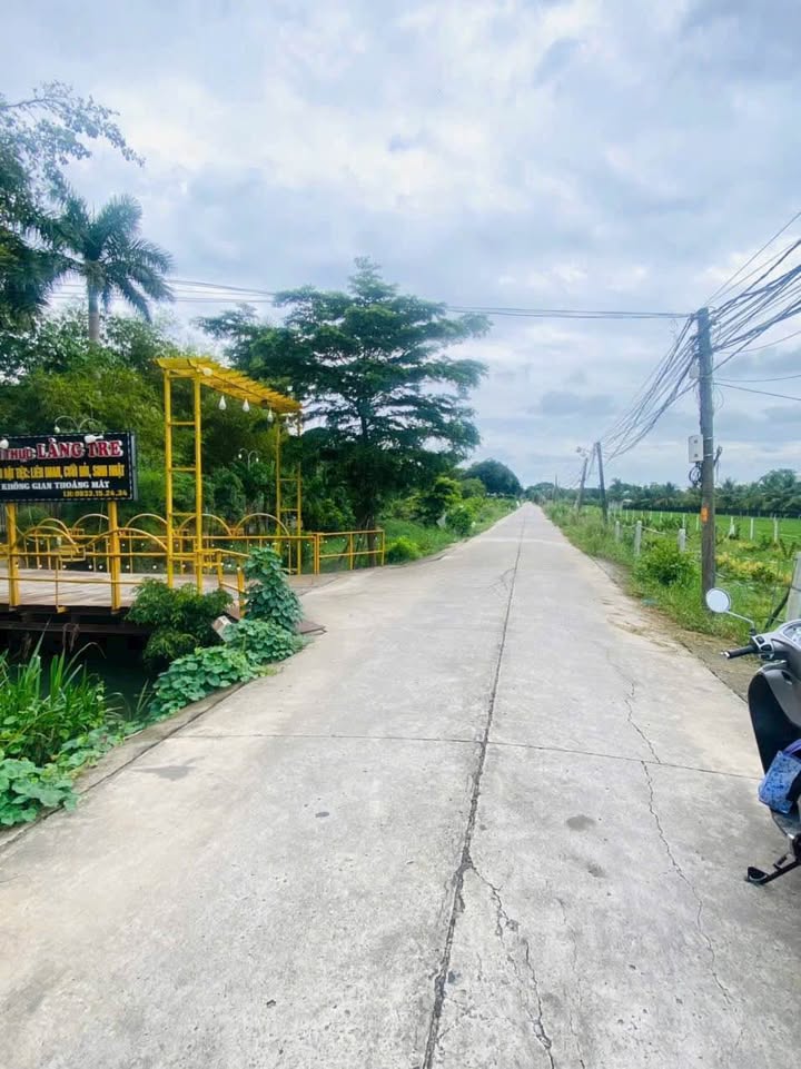 Đất nền Long Trung, Hoà Thành, Tây Ninh 1300m² - Giá tốt, đầu tư sinh lời!