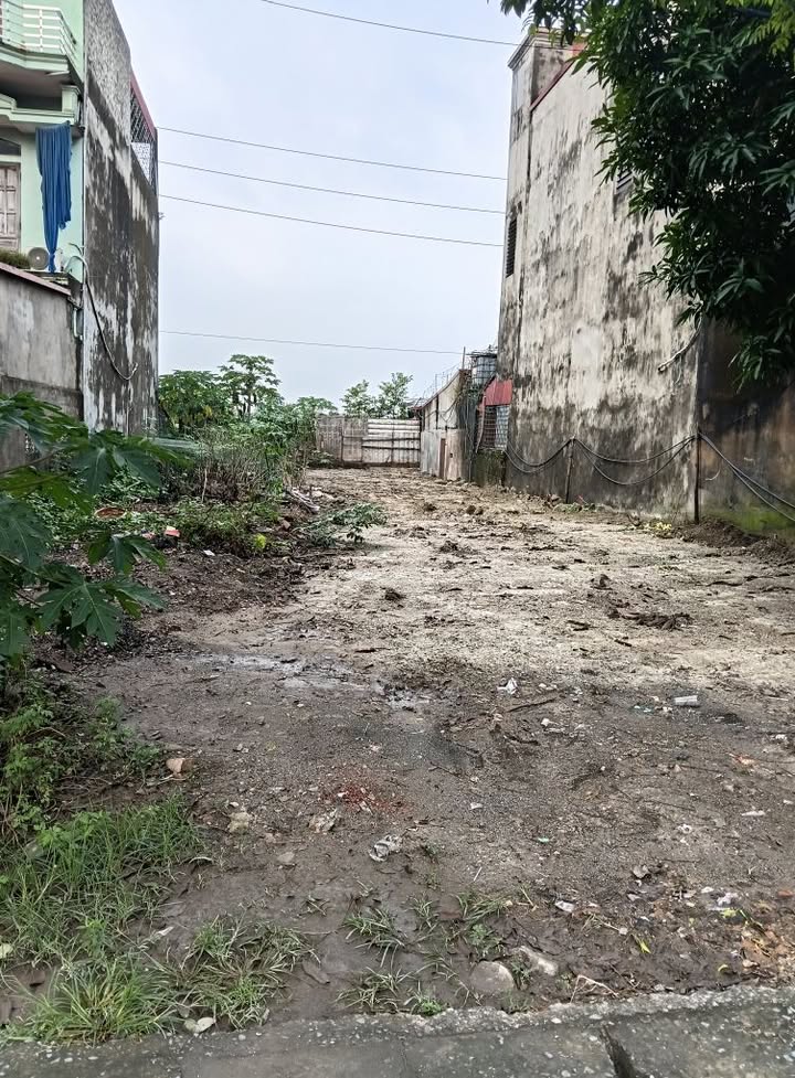 Đất thổ cư đường 1A, Gia Trấn, Gia Viễn, Ninh Bình 100m² - Giá tốt, sổ đỏ chính chủ!