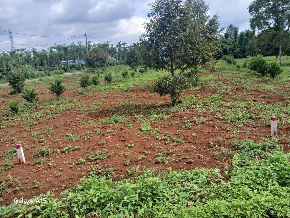 Đất nền Kim Long Châu Đức 80m² giá chỉ 630 triệu - Đường nhựa thông thoáng