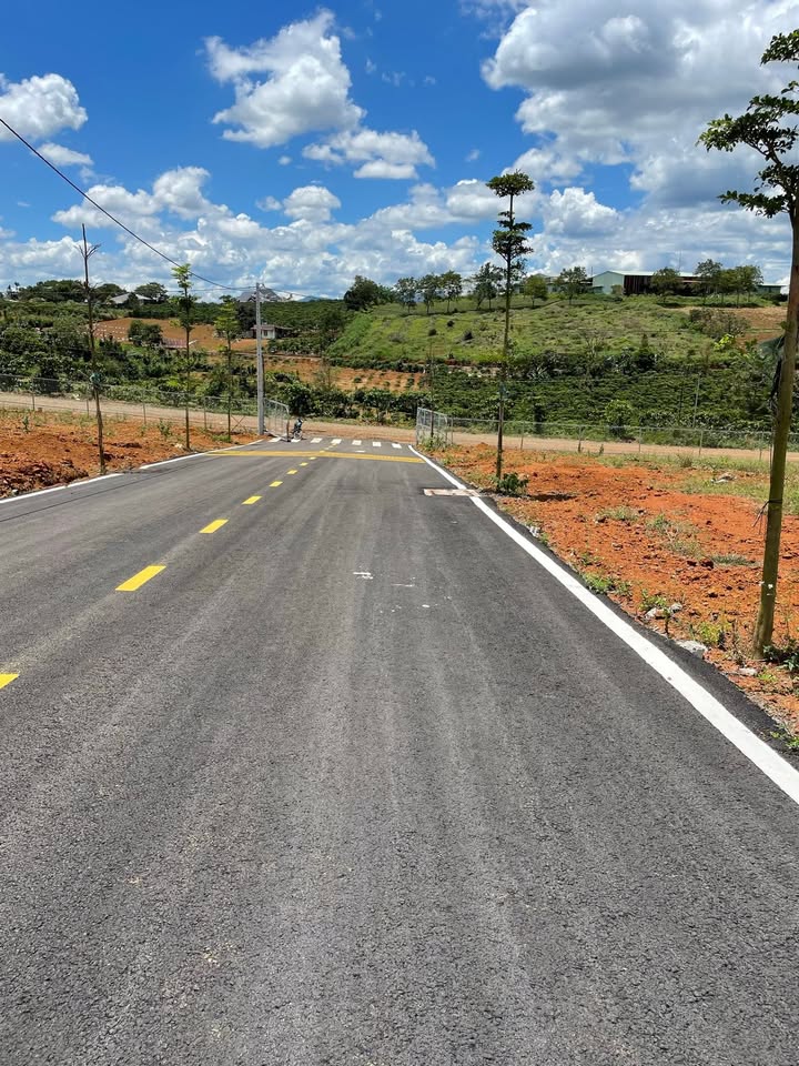 Bán đất thổ cư Thôn 4, Lộc Tân, Bảo Lâm 209m² chỉ 1,35 tỷ - Đầu tư sinh lời ngay!