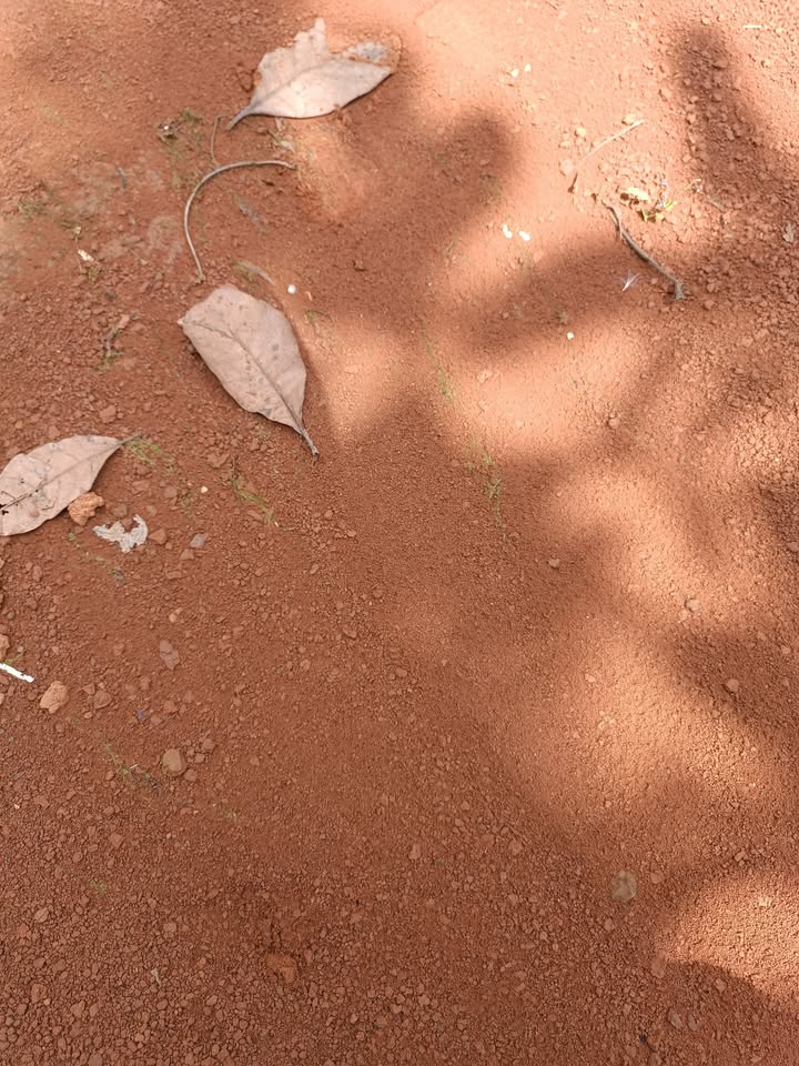 Đất nền Đồng Tiến, Đồng Phú 3ha giá 3 tỷ - Tiềm năng phát triển lớn!