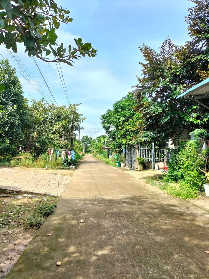 Đất nền Tiến Hưng, Đồng Xoài 550m² giá 1 tỷ - Cơ hội đầu tư sinh lời!