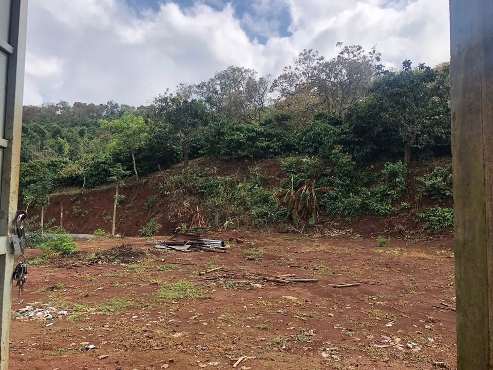 Đất đầu tư giá rẻ 2.4ha tại Quảng Tân, Đăk Nông chỉ 3.1 tỷ - Cơ hội không thể bỏ qua!