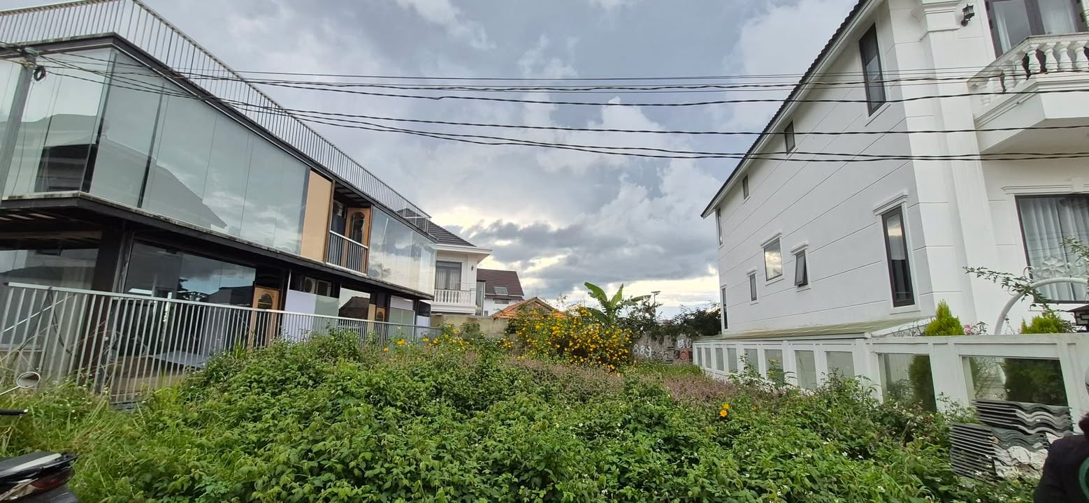 Đất nền Đồi Bạch Đằng Đà Lạt 216m² giá 8.5 tỷ - Đầu tư sinh lời tuyệt vời!