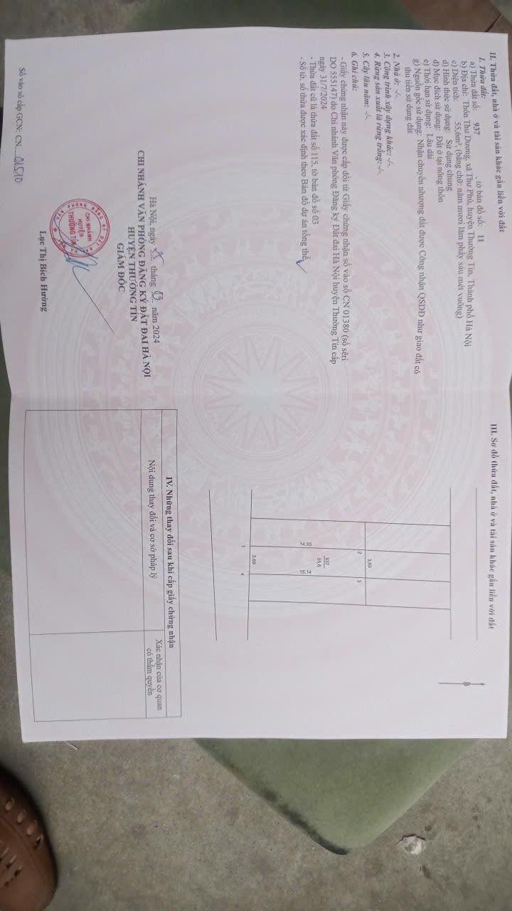 Đất nền trục chính xã Thư Phú 55.6m² giá 3.477 tỷ - Cơ hội đầu tư hấp dẫn!