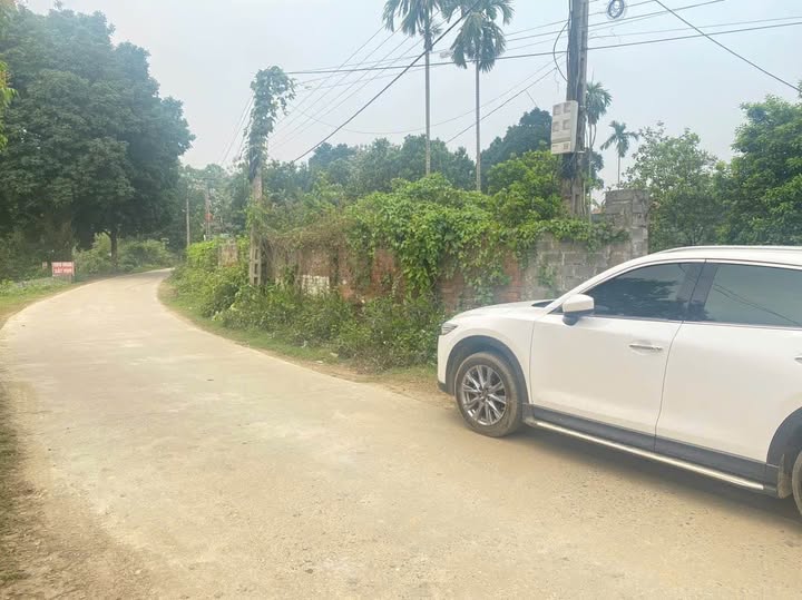 Đất nền nghỉ dưỡng Cư Yên Lương Sơn 1.600m² giá 6.4 tỷ - Cơ hội đầu tư tuyệt vời!