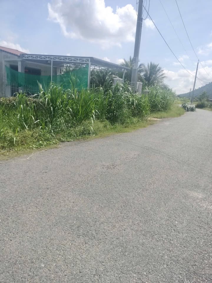 Đất nền phường Bình Minh, TP Tây Ninh 500m² giá 530 triệu - Cơ hội đầu tư hấp dẫn!