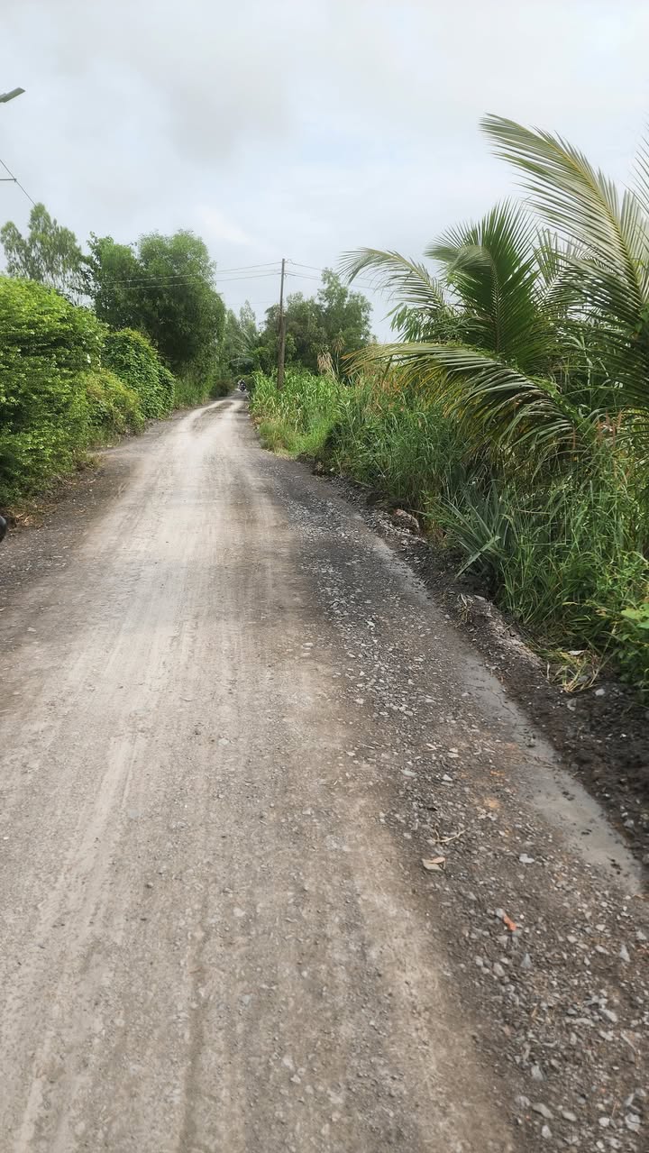 Đất vườn Tân Thạnh Tây Ninh 1023m² giá 6.6 tỷ - Gần lộ N2, tiện ích đầy đủ!