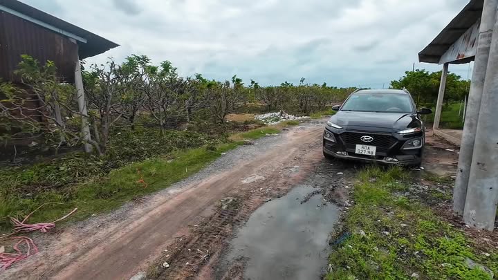 Đất nền Suối Đá Dương Minh Châu 1000m² giá 319 triệu - Cơ hội đầu tư hiếm có!