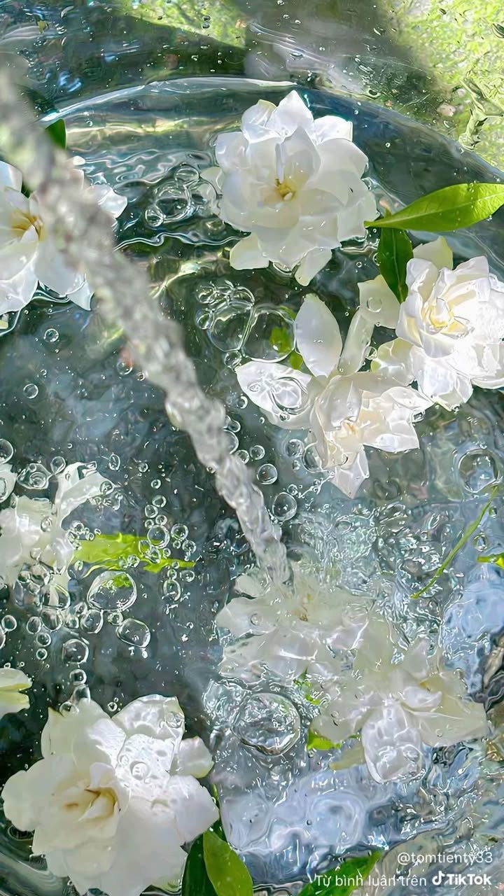 Đất nền Đa Phúc, Dương Kinh 79m² giá 1.1 tỷ - Phong thủy vượng khí