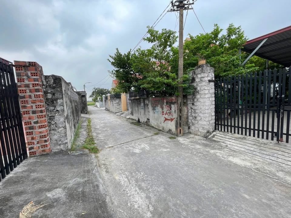 Đất liền kề 290m² tại Nguyễn Đại Năng - Kinh Môn - Hải Dương giá chỉ 2 tỷ - Đầu tư sinh lời cao!