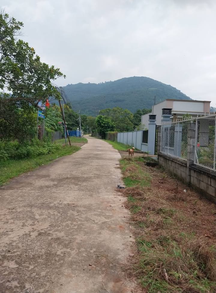 Đất thổ cư xã Suối Cát, Xuân Lộc, Đồng Nai 2405m² - View núi Chứa Chan tuyệt đẹp!