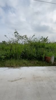 Đất nền Hiệp An Thủ Dầu Một 144m² giá 1.68 tỷ - Cần bán gấp lỗ vốn!