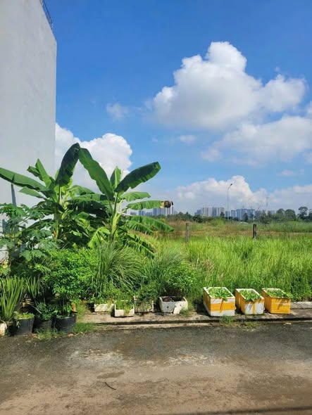 Đất nền Hẻm 230 Nguyễn Xiển 50m² giá 3.29 tỷ - Vị trí đẹp, gần Vinhomes!