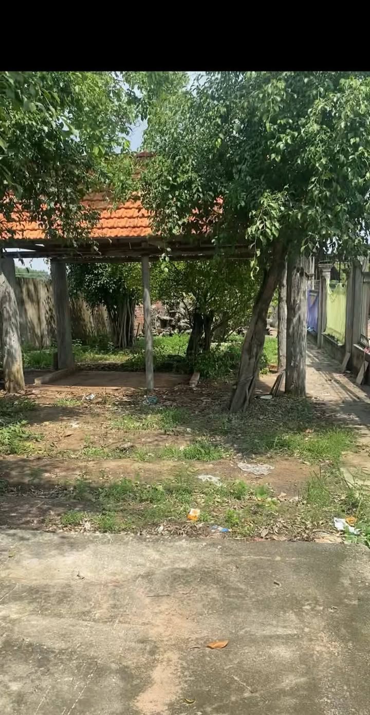 Đất nền Phường Tân Triều 500m² giá 1.5 tỷ - Sổ riêng chính chủ, 2 mặt tiền