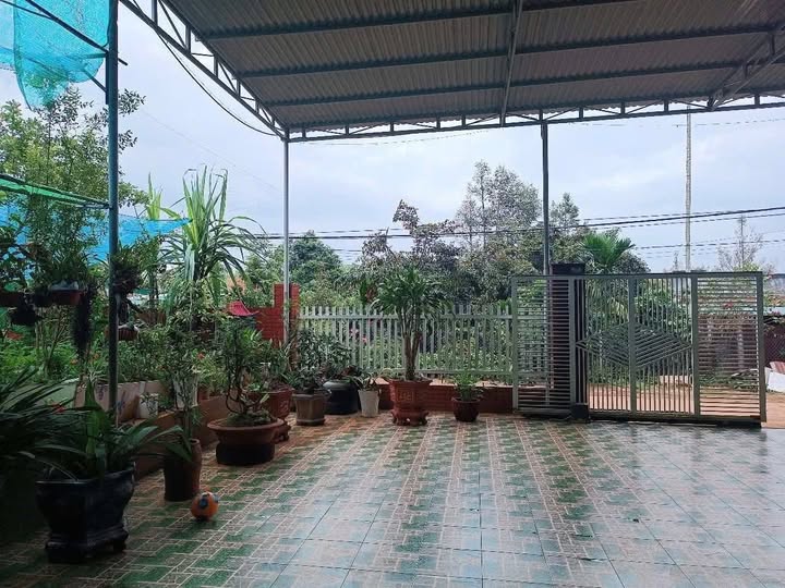 Nhà ở Nghĩa Trung, Gia Nghĩa, Đắk Nông 960m² giá 2.9 tỷ - Chính chủ bán gấp!