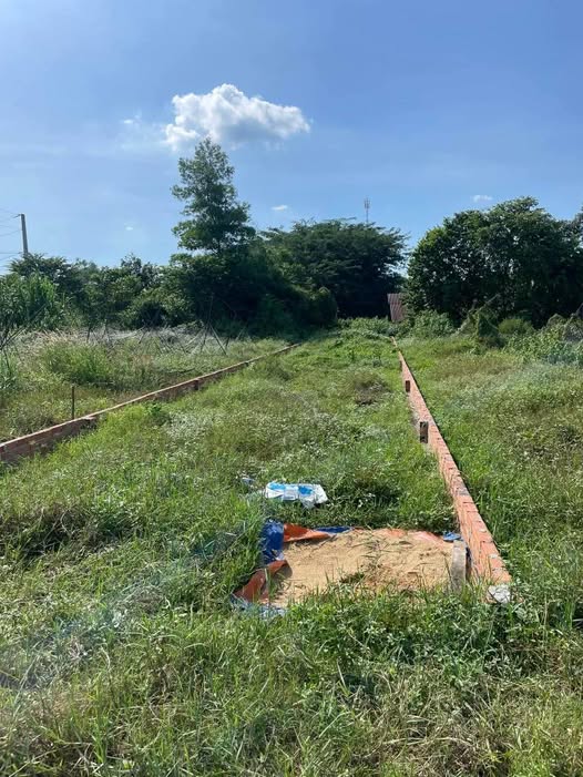 Đất thổ cư 175m² tại Đức Lập Hạ, Long An - Giá chỉ 1.1 tỷ đồng, vị trí đẹp!