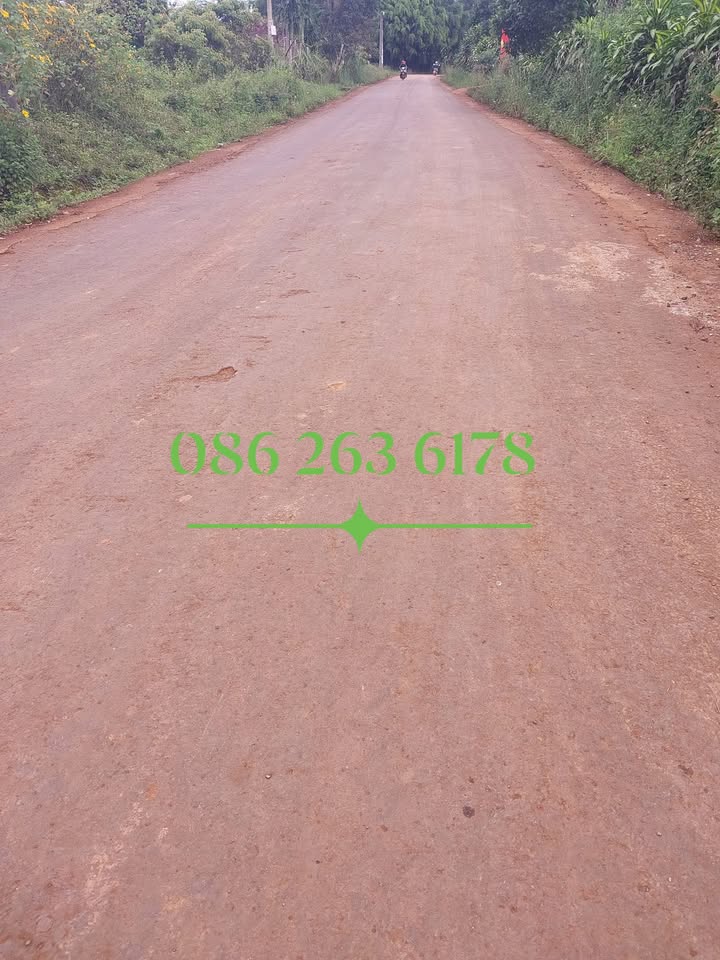 Đất nền 1.000m² tại Thôn 4, Trường Xuân, Đắk Nông - Giá 1 tỷ thương lượng!