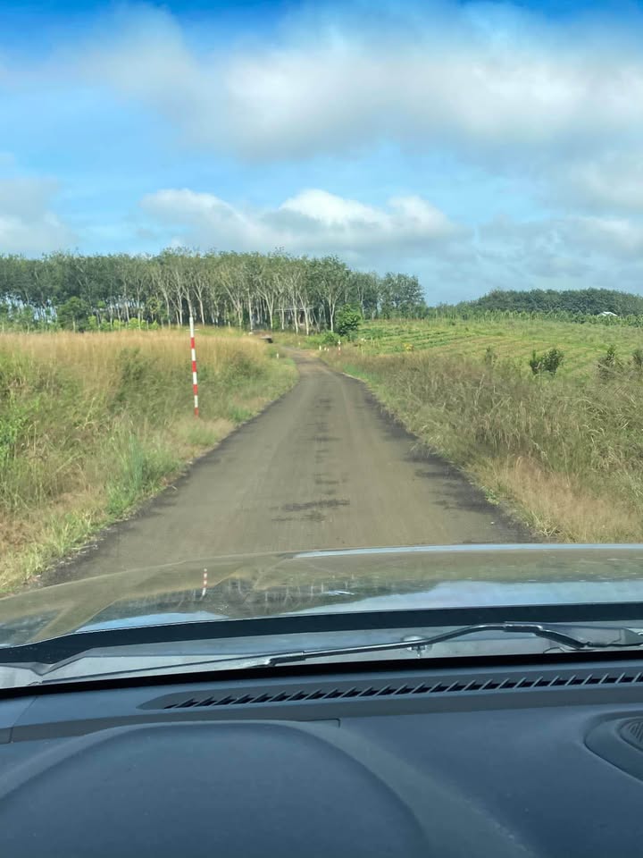 Đất nền 1,1ha tại Nghĩa Thắng, Đắk R'Lấp - Giá chỉ 2,5 tỷ - Sổ đỏ chính chủ!