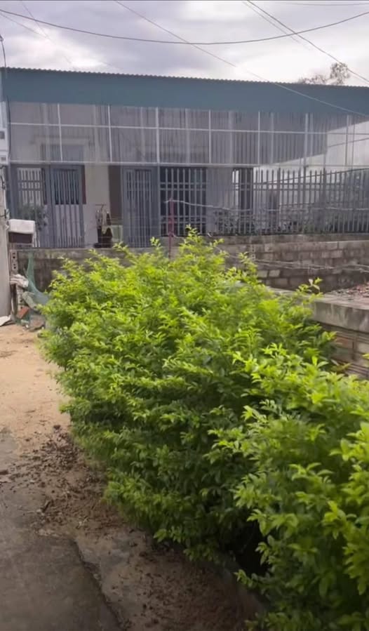 Đất nền Cổ Đạm, Nghi Xuân 145m² giá 1.5 tỷ - 3 mặt tiền đường thông thoáng!