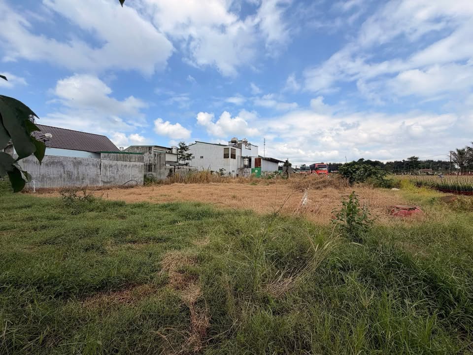 Đất nền phường Giải Phóng, Buôn Ma Thuột 500m² giá 3.8 tỷ - Cơ hội đầu tư tuyệt vời!