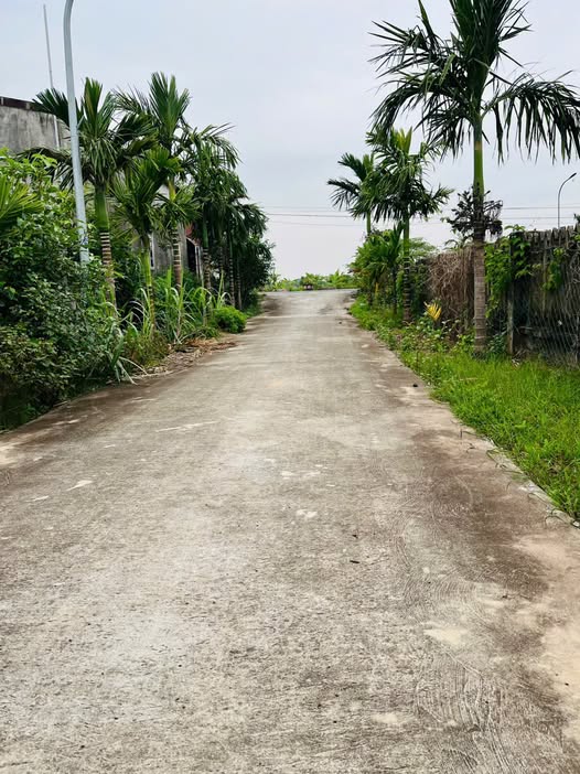 Lô đất 2 mặt đường tại Xóm 5, Nam Điền - 264m² giá 1 tỷ - Tiềm năng đầu tư lớn!