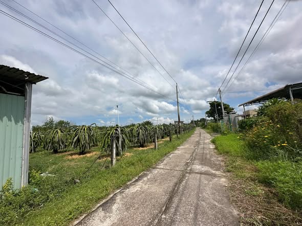 Bán đất biển Tân Hải, La Gi 372m² giá 1 tỷ - Đường rộng 4.5m, gần biển!